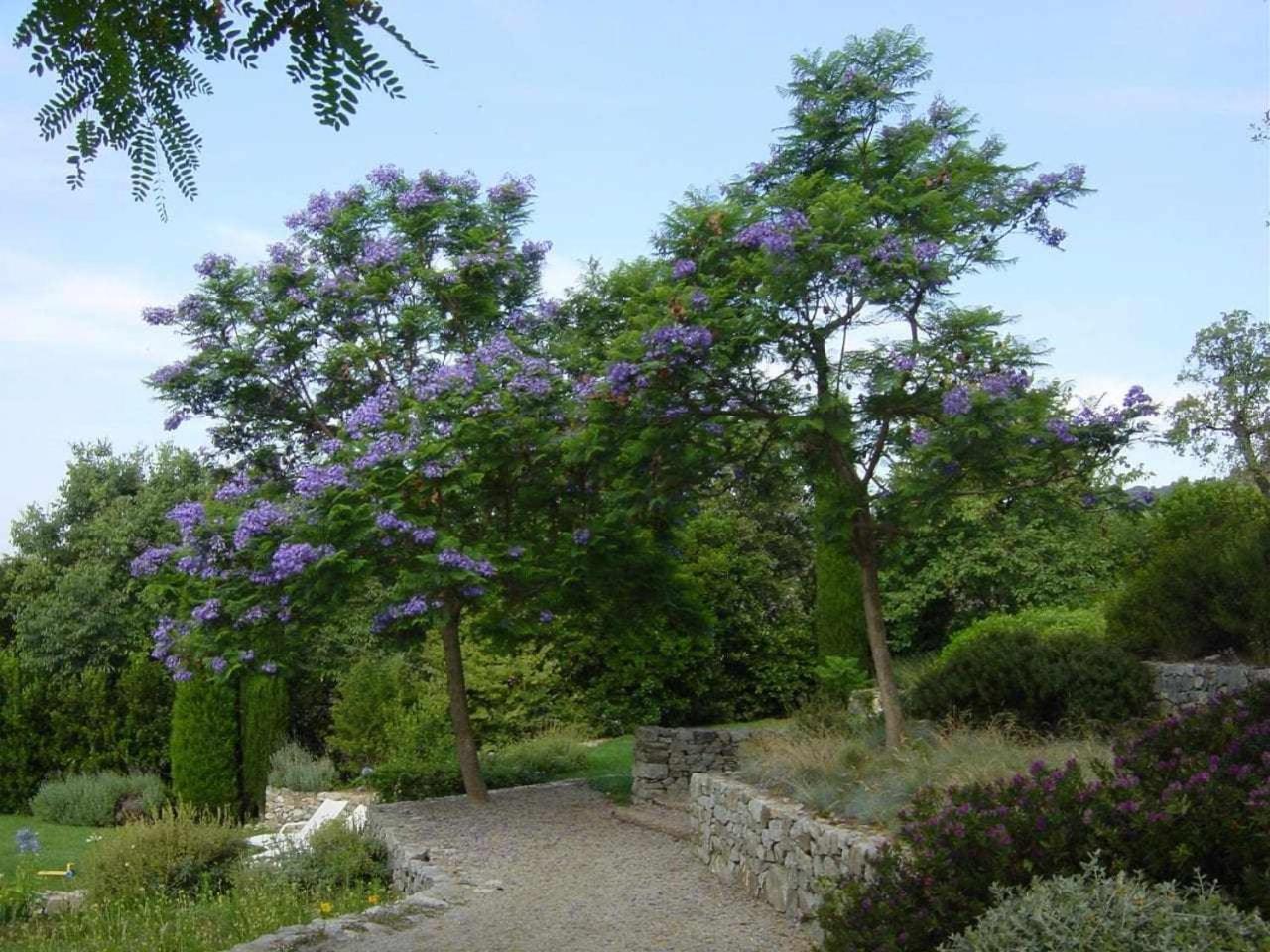 הוילה Tiana Ca Landreu Ecoturisme מראה חיצוני תמונה