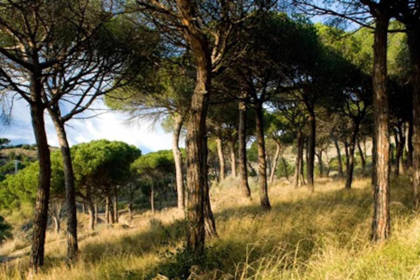 הוילה Tiana Ca Landreu Ecoturisme מראה חיצוני תמונה